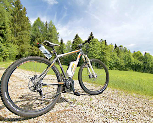 Fahrrad steht alleine auf der Waldstrasse mit blauen Himmel und tiefgrüner Wiese und Bäumen