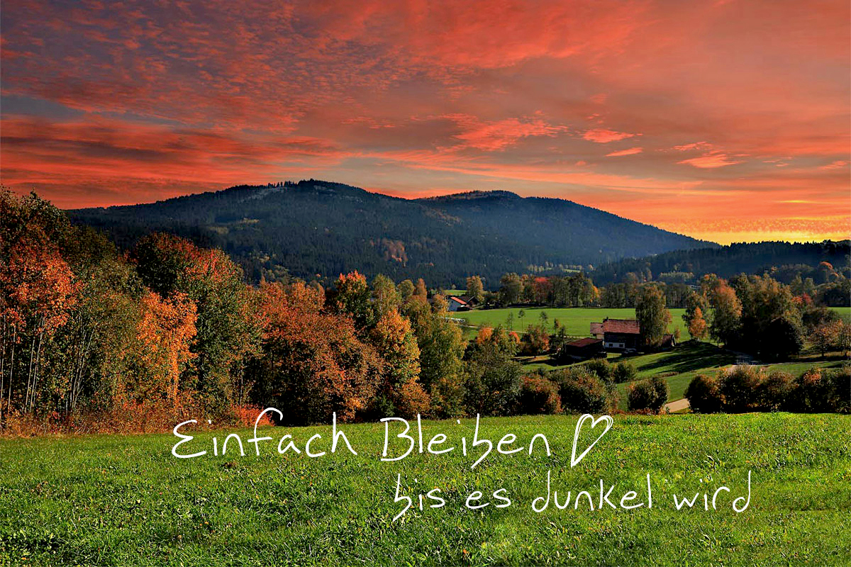 Herbstlandschaft mit Abendrot und herbstlich gefärbten Bäumen