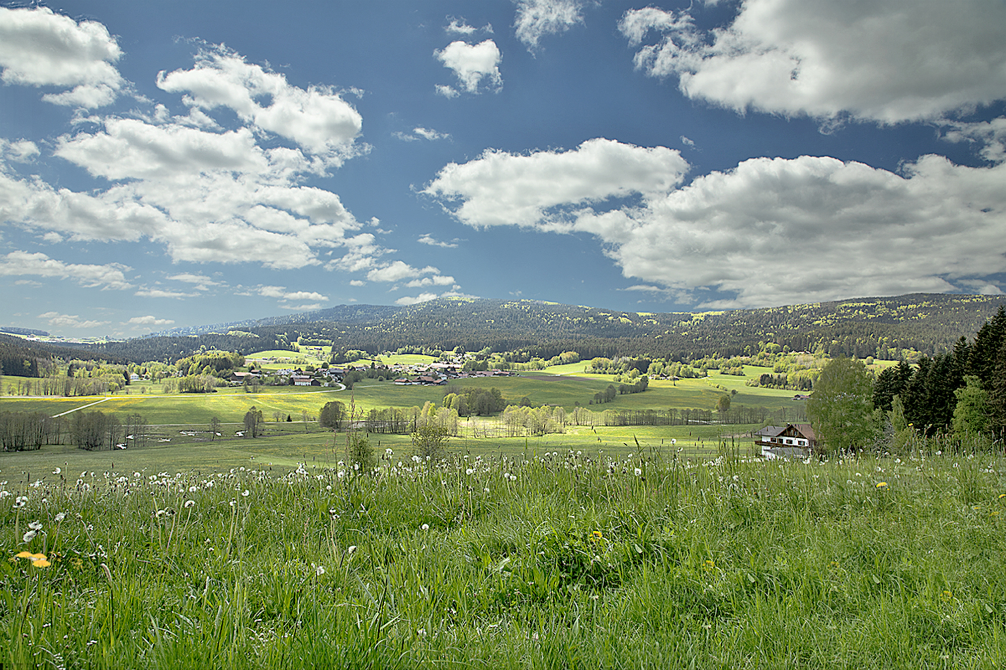 Ein Ort mit grünen Wiesen und weißblauen Himmel