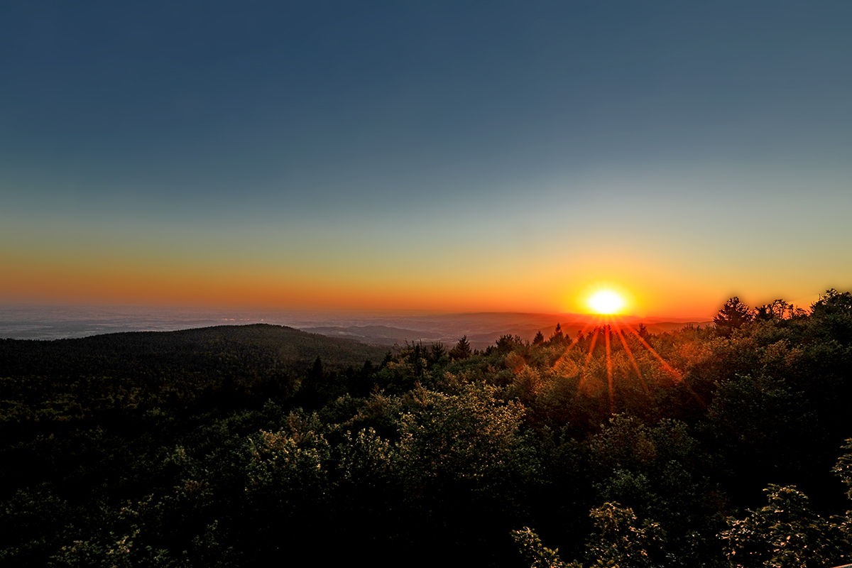 Sonnenuntergang auf einem Berg mit Aussicht undmit vielen Bäumen