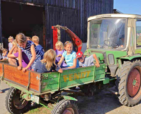 Traktofahrt im Sommer mit vielen Kindern auf der Brücke des Traktors