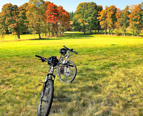 Zwei Ebikes in einer Herbstlandschaft mit bunten Bäumen und einer großen Wiese