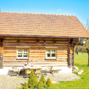 Ein Naturstammchalet auf der grünen Wiese und blauen Himmel, mit Terrasse und Bäumchen vor dem Chalet