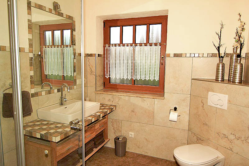 Badezimmer mit Dusche und WC, Wandspiegel und Fenster